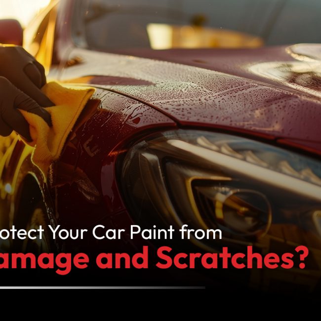 Protect Your Car Paint